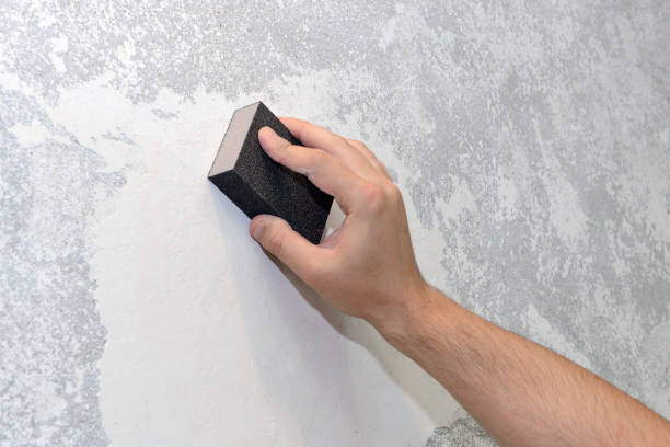 Best Asbestos and Lead Testing During Mold Inspection  in Sheboygan, WI