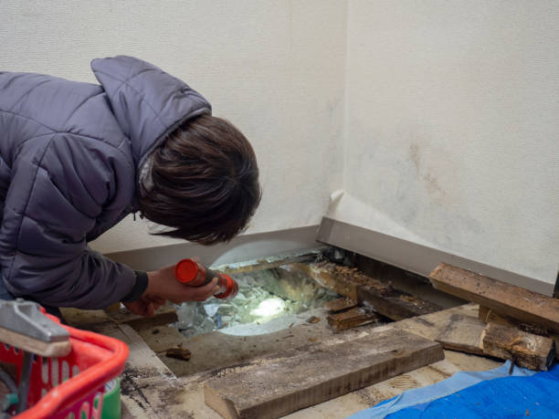 Best Mold Removal for HVAC Installations  in Sheboygan, WI