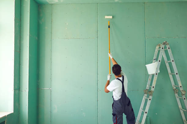 Best Commercial Mold Inspection  in Sheboygan, WI