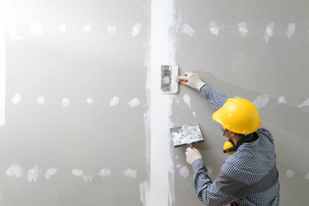 Best Emergency Mold Remediation  in Sheboygan, WI
