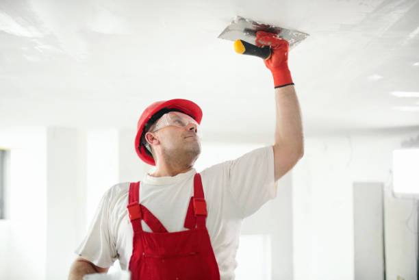 Best Mold Odor Removal Services  in Sheboygan, WI