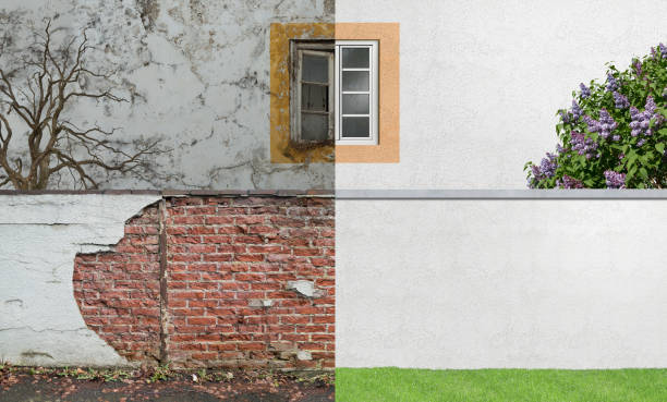 Best Mold Documentation for Insurance Claims  in Sheboygan, WI