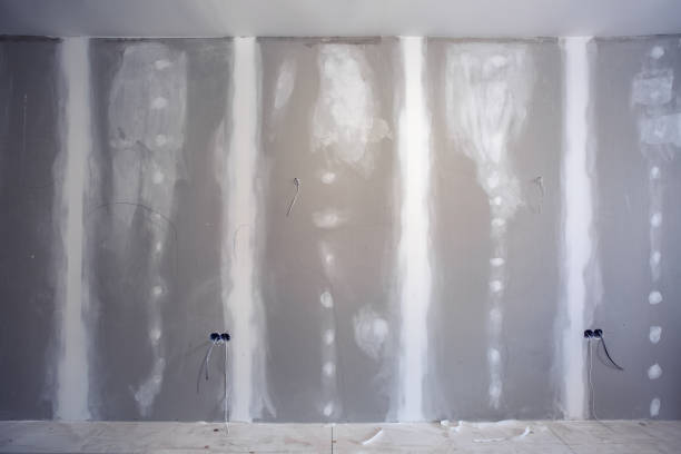Best Real Estate Mold Inspection  in Sheboygan, WI